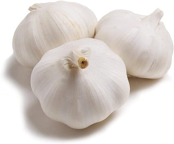 Fresh Garlic Pure White - 1 Bunch - Image 2