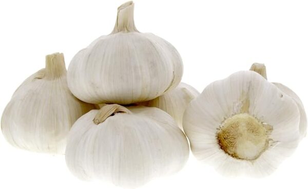 Fresh Garlic Pure White - 1 Pack - Image 2