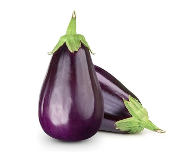 Fresh and Sweet Organic Eggplant Big