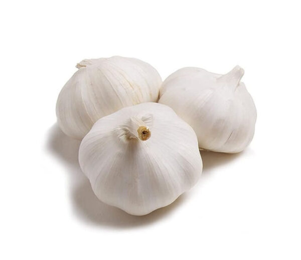 Fresh Garlic Pure White - 1 Bunch