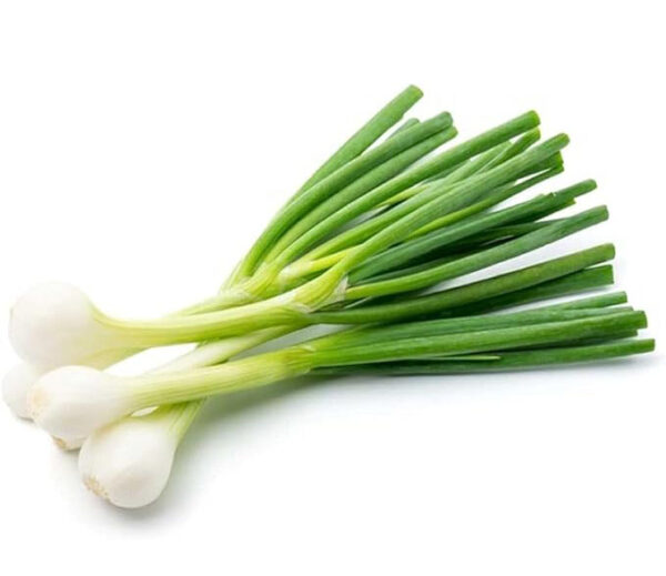 Fresh Onion Spring 2 Tie - Image 2