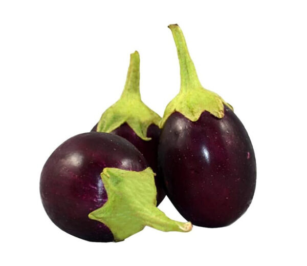 Fresh and Sweet Organic Round Eggplant