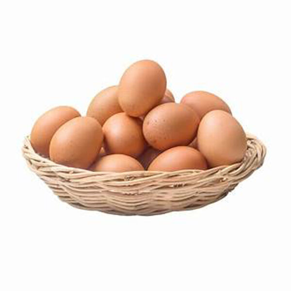 Fresh Poultry Egg Half Card - 15 Pieces