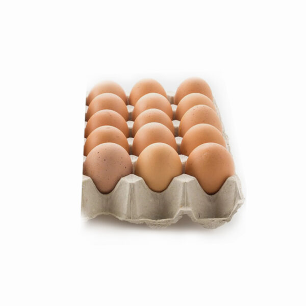 Fresh Poultry Raw Egg | Half Card | 15 Pieces