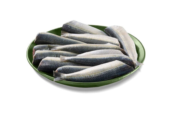 Fresh Sardines 10 Piece already Processed