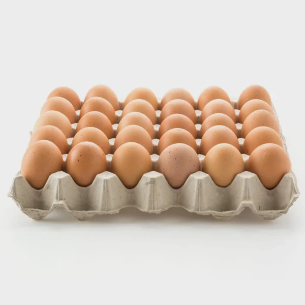 Fresh Poultry Egg Card - 30 Pieces